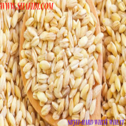 HARD WHITE WHEAT